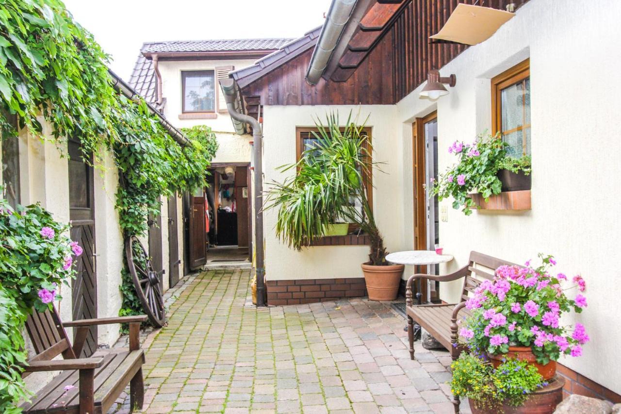 Likedeeler 6 Apartment Zingst Ngoại thất bức ảnh